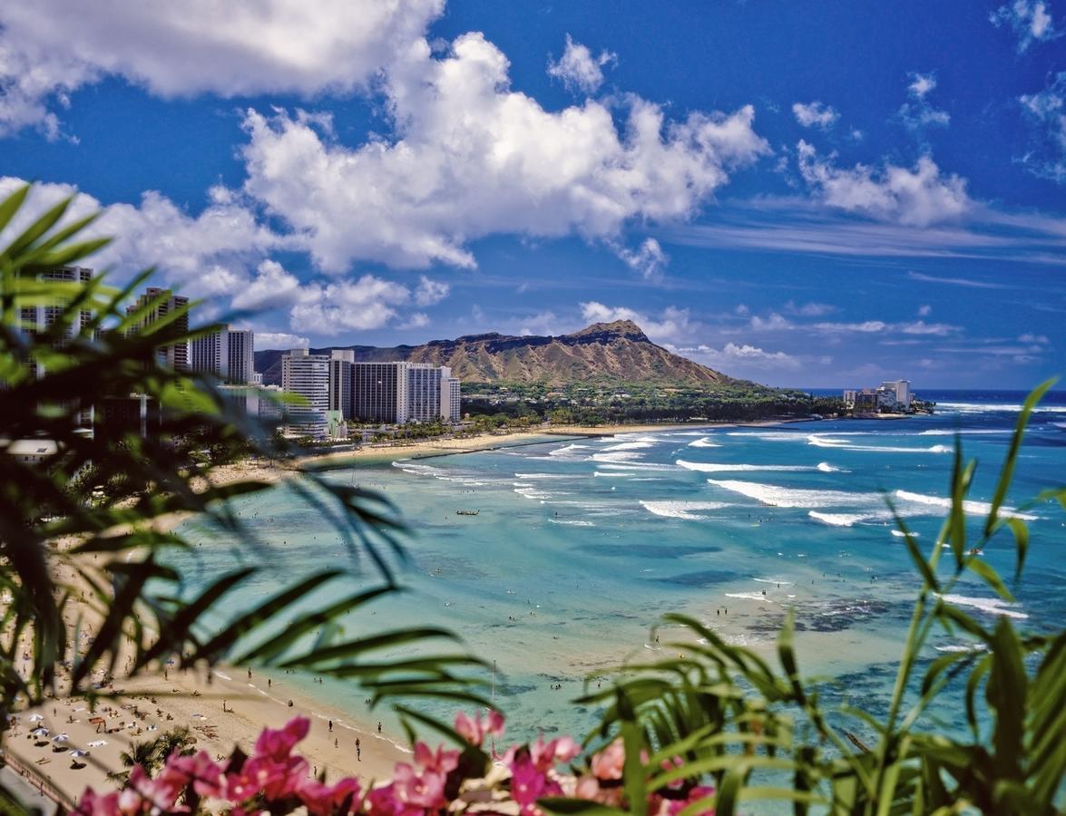 Beautiful 1Br, Steps To Waikiki Beach And Parking Honolulu Zewnętrze zdjęcie